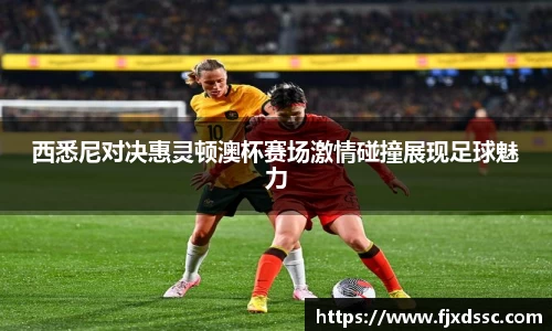 西悉尼对决惠灵顿澳杯赛场激情碰撞展现足球魅力